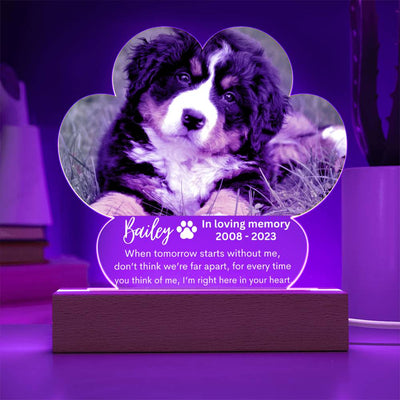 Personalized Pet Memorial LED Lighted Paw Plaque