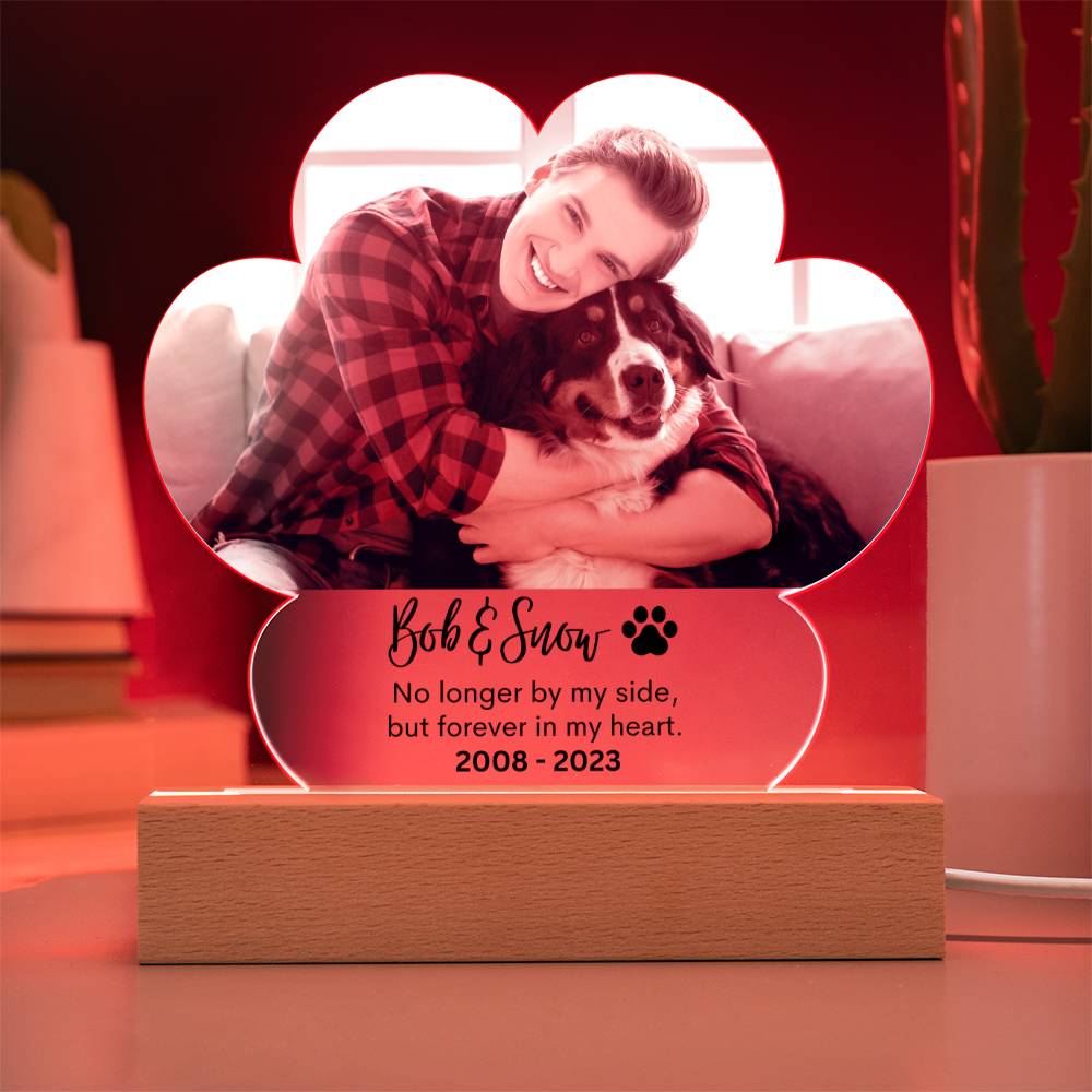 Personalized Pet Memorial LED Lighted Paw Plaque