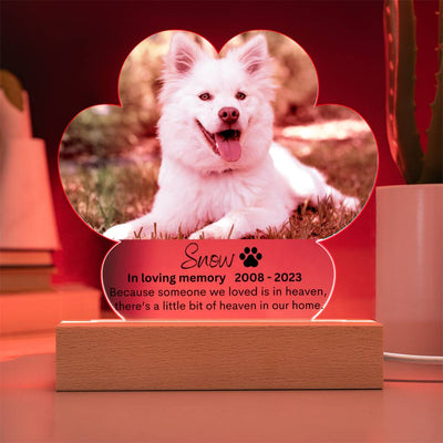 Personalized Pe Memorial LED Lighted Paw Plaque