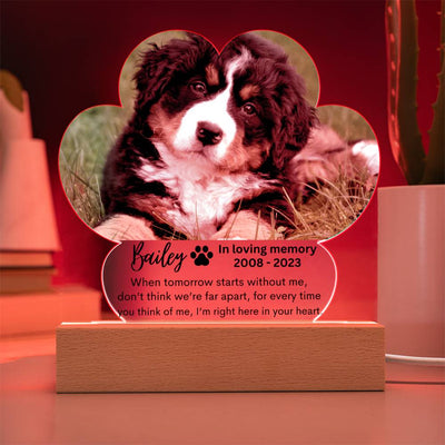 Personalized Pet Memorial LED Lighted Paw Plaque