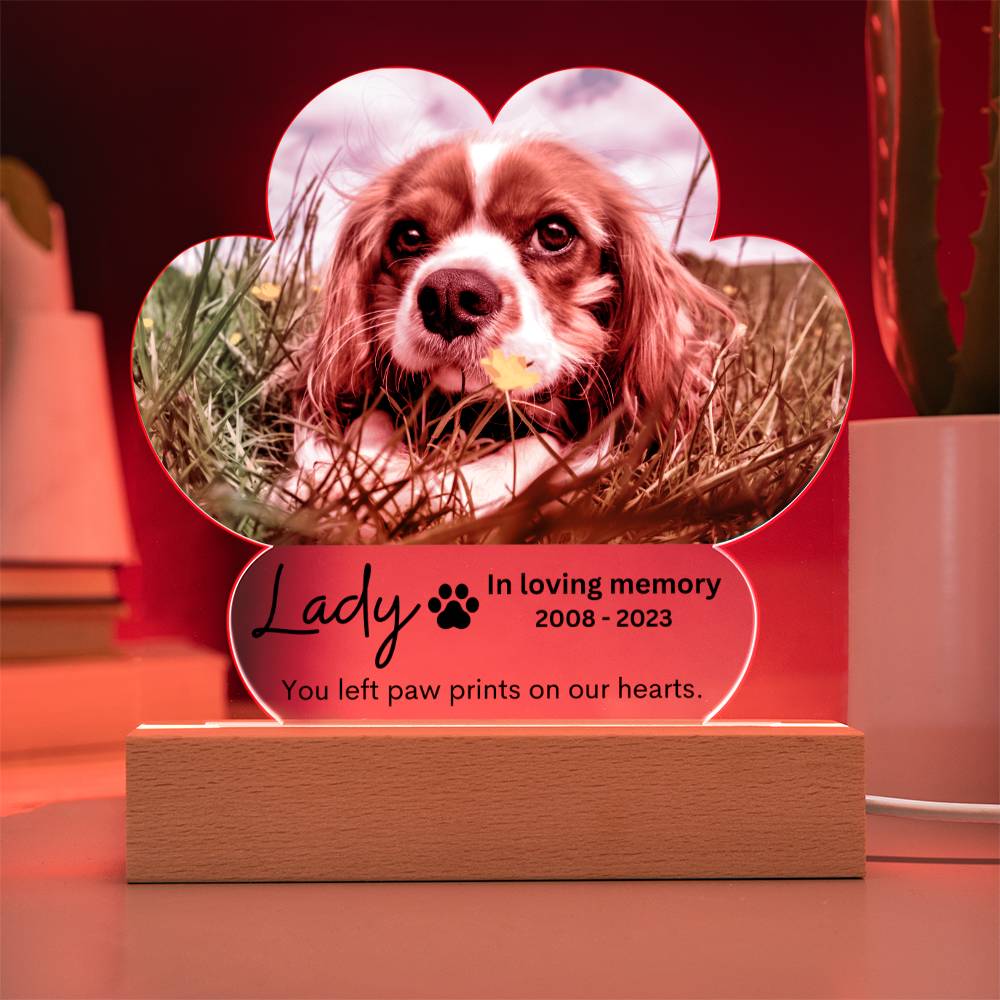 Personalized Pet Memorial LED Lighted Paw Plaque