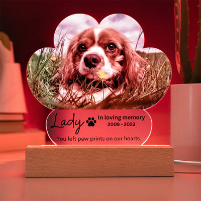 Personalized Pet Memorial LED Lighted Paw Plaque