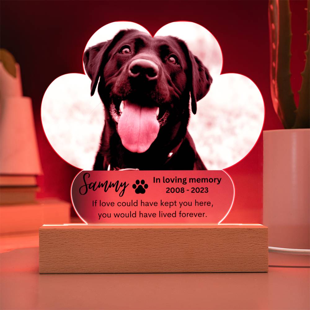 Personalized Pet Memorial LED Lighted Paw Plaque