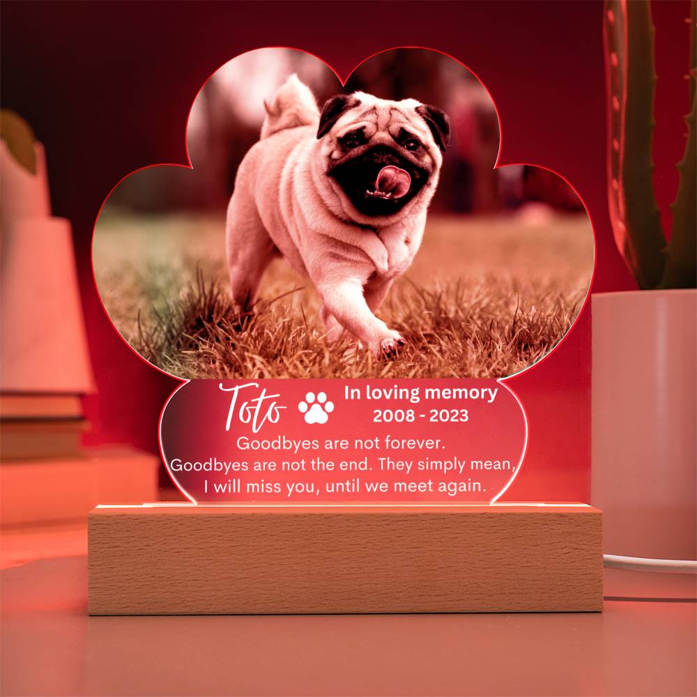 Personalized Pet Memorial LED Lighted Paw Plaque