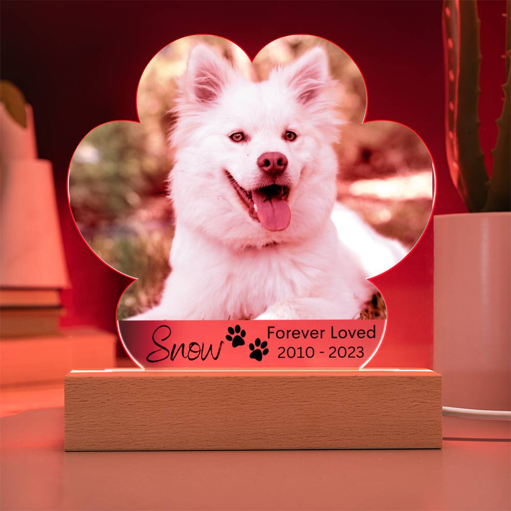 Personalized Dog Memorial LED Lighted Paw Plaque