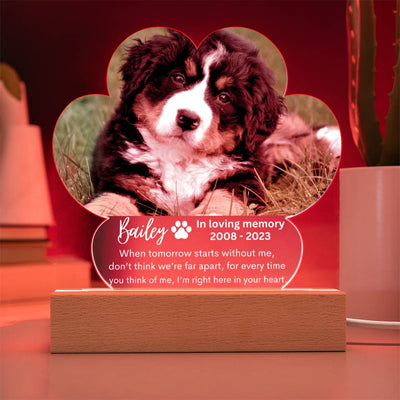 Personalized Pet Memorial LED Lighted Paw Plaque