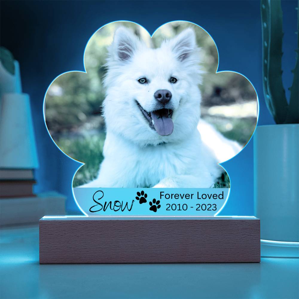 Personalized Dog Memorial LED Lighted Paw Plaque