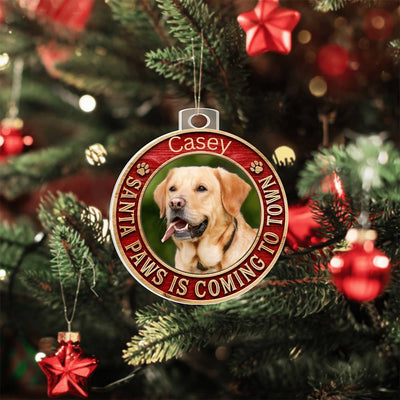 Personalized Pet Ornament